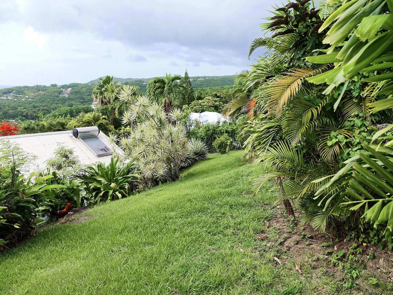 Vila Karureve Deshaies Exteriér fotografie